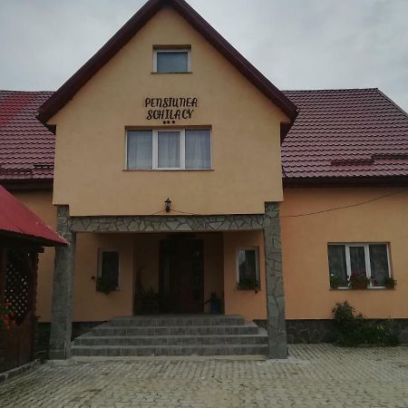 Pensiunea Schilacy Grosii Tiblesului Luaran gambar