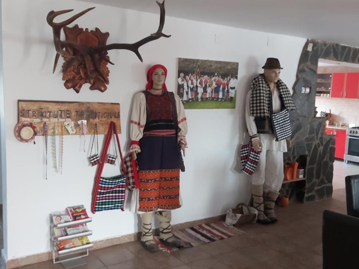 Pensiunea Schilacy Grosii Tiblesului Luaran gambar